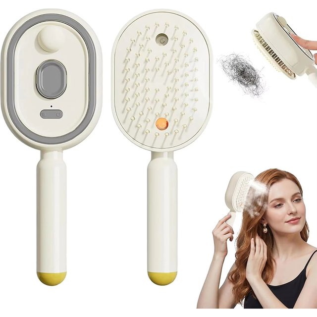 Electric Steam Brush with Water Spray Wet Electrics Hairbrush USB-C Charging for Detangling Smoothing Styling & Frizz Control