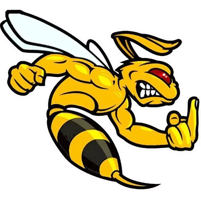 Car Stickers Angry Bee Vinyl Decals Motorcycle Decal Decoration Accessories Waterproof Sunscreen Cover Scratches ,Multiple Sizes