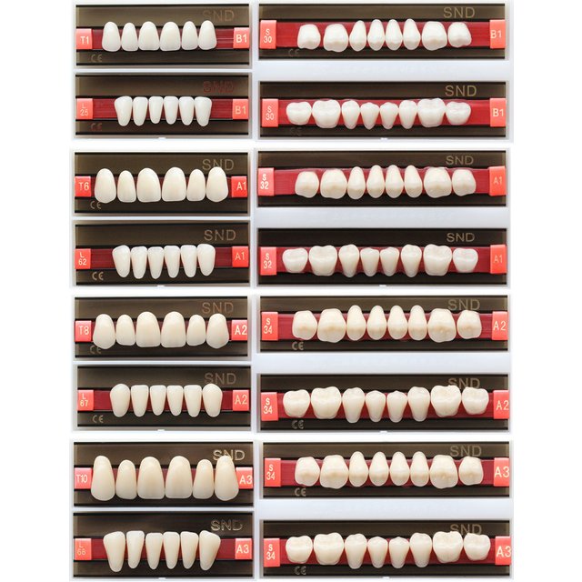 B1A1A2A3 Shade Dental 2-Layers Acrylic Synthetic Resin Teeth Whitening Denture Fake Oral Care False Anterior Posterior Dentistry