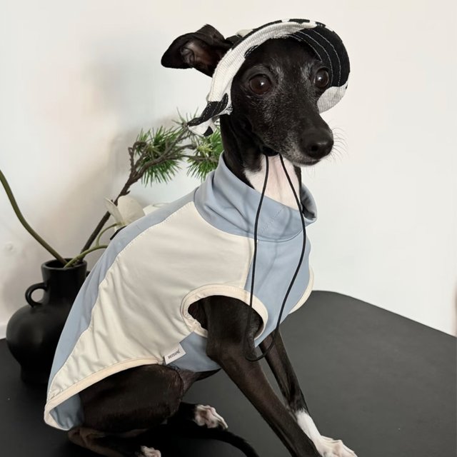 Summer Little Greyhound Sunscreen Hat Outdoor Hat Ear Holes Adjustable Cap for Whipbit Breathable Cool Hat for Small Media Dogs