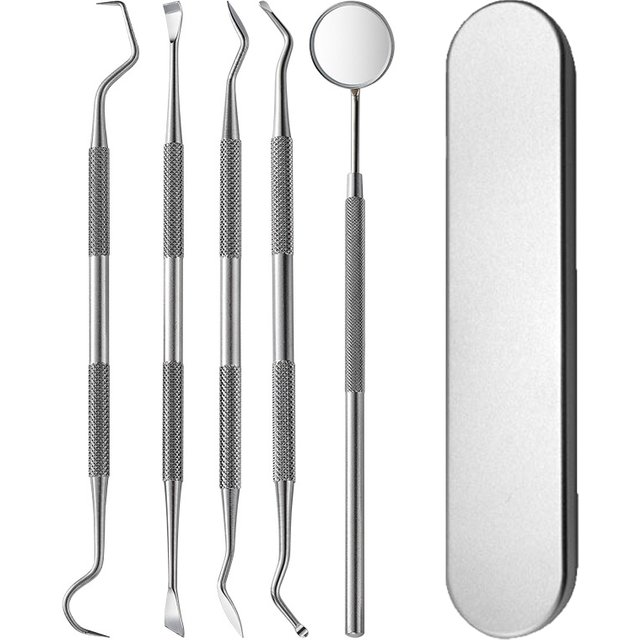 Dental Kit Tool Stainless Steel Plaque Remover, Oral Care With Plaque Cleaner, Tartar Pick, Tooth & Tongue Scraper For Family