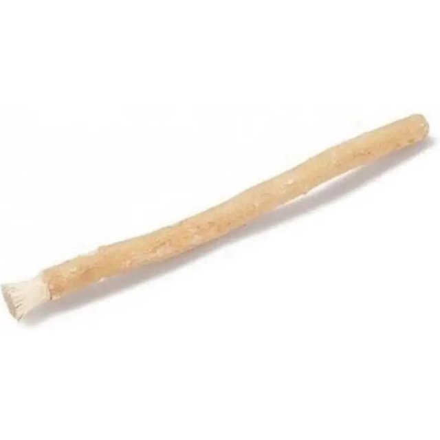 1Pcs Portable Miswak Siwak Natural Toothbrush Misvak Miswaak Teeth Traditional Arak Travel Whitener Toothbrush Manual Whitener