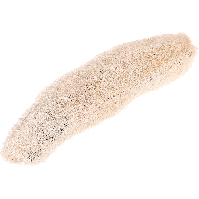 Natural unprocessed luffa Loofah Antibacterial Loofah bath body scrub