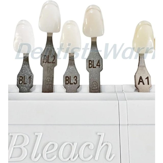 Dental 20Colors A-D Bleached Shade Guide Bleach Chart 4/20 Colors Teeth Whitening Based Vita BL1/2/3/4