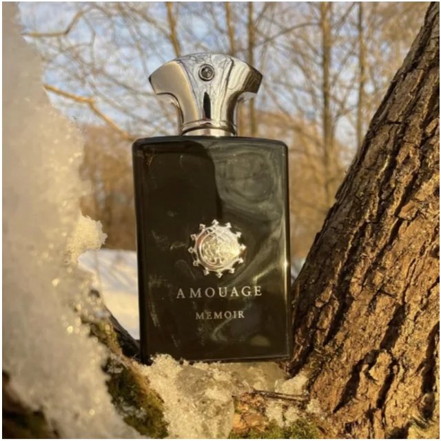 100ml Men’s Eau de parfum Long Lasting Fragrance with Aromatic Woody Fresh Warm Clean Notes for Refined Masculine Elegance