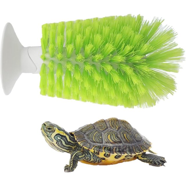 Scrubber Turtle Shell Cleaning Brush Cleanser Brace Small Animal Plastic Aquatic Tortoise