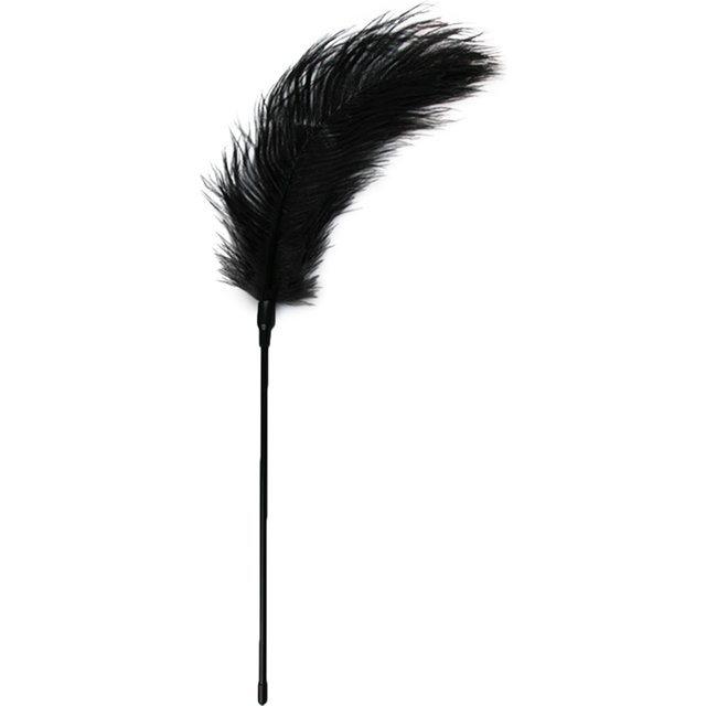 Fouet à plumes noir