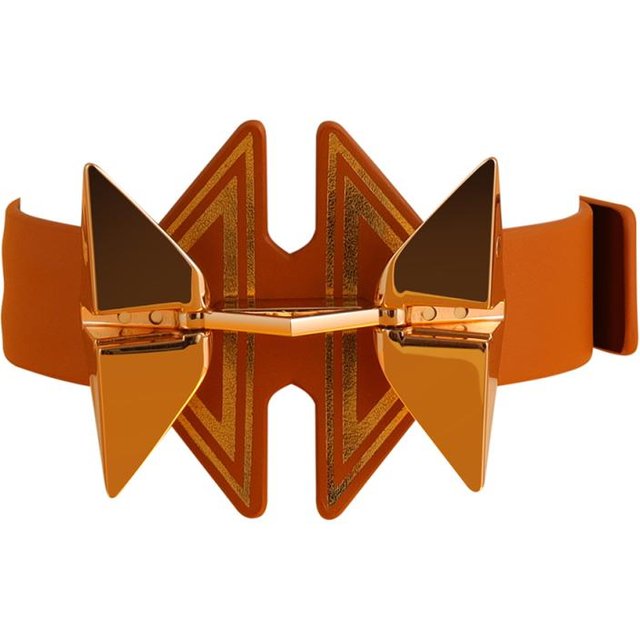 - Collier de Posture - marron