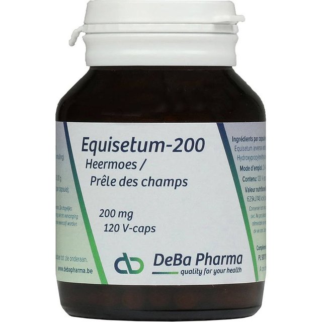 Deba Equisetum-200