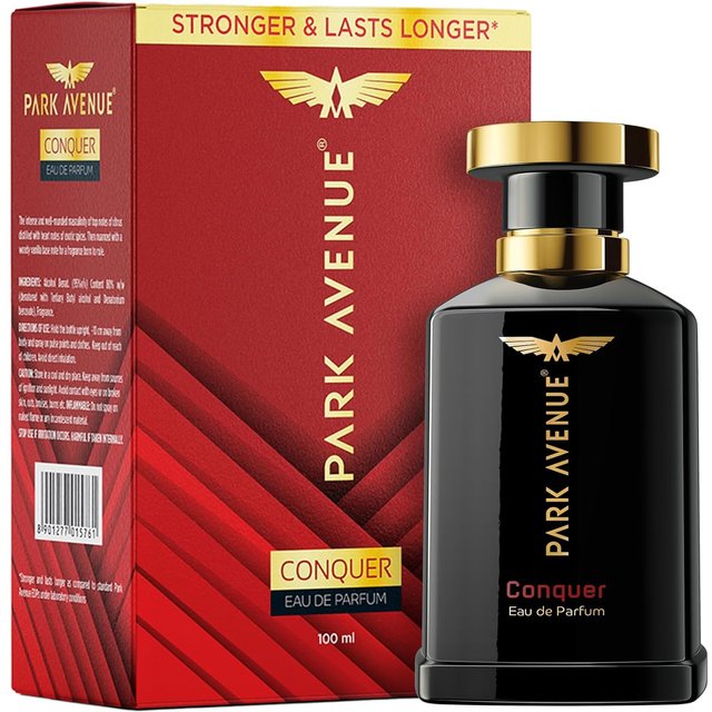Park Avenue Conquer Eau de parfum Homme 100ml Parfum Boisé Épicé de Luxe Longue Durée Cadeau pour Toutes les Occasions