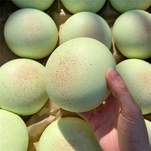 Pain Melon Parfumé Daifuku Hi Squishy à Levée Lente Jouet à Presser Humide Doux Jeu pour le Bout des Doigts Soulagement du Stress Jouet Sensoriel Évacuation Cadeau
