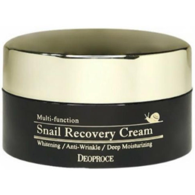 DEOPROCE Crème Réparatrice Multi-Fonctions à la Bave d'Escargot 100 g – Crème Visage Hydratante en Profondeur & Anti-Rides Snail Recovery Cream 1 gray