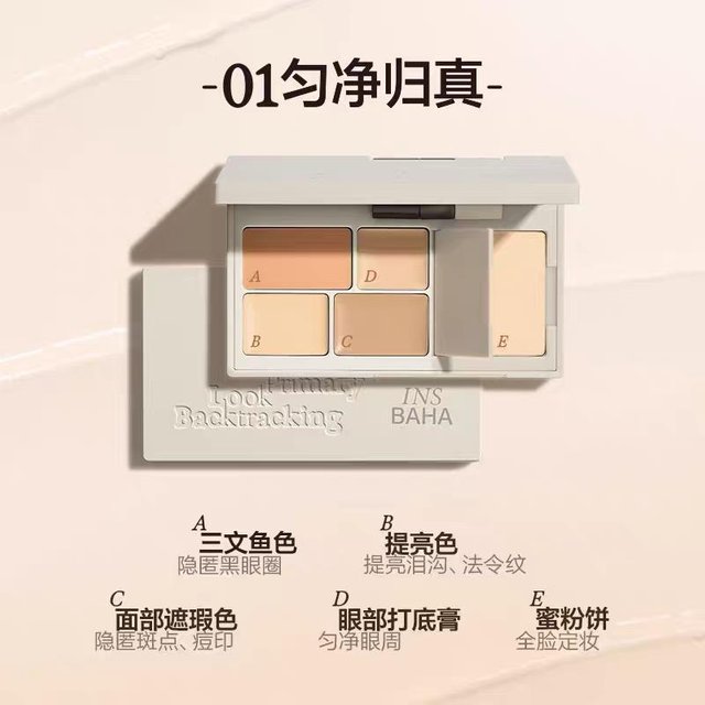INSBAHA 5 Farben Concealer Aufhellend Akneflecken Dunkle Augenringe Tränenfurche Permanenter Gesichts-Concealer Fixierpuder Palette gray