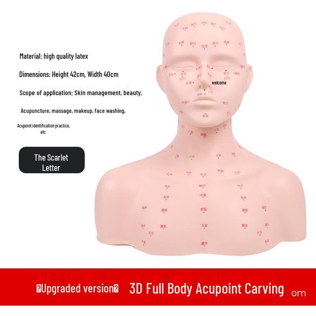 Tête de Mannequin Calve avec Épaules pour Massage Facial