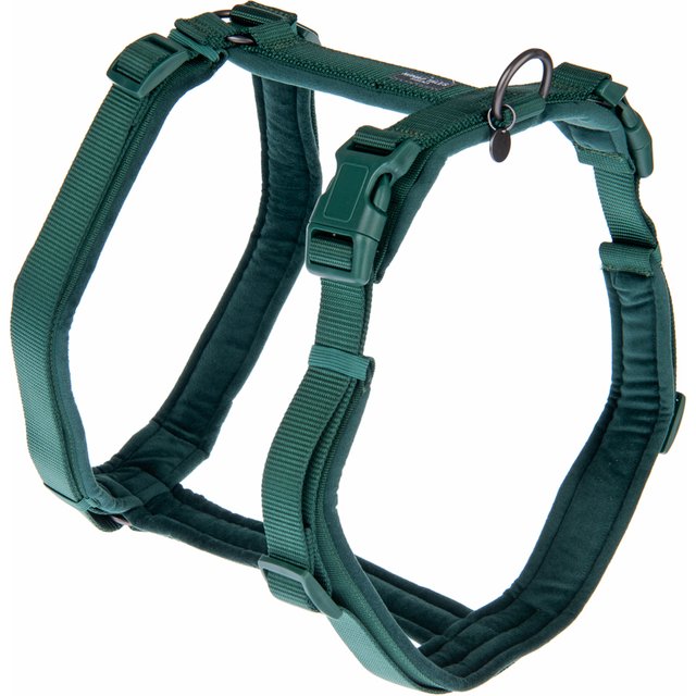 Peitoral Nomad Tales Blush verde esmeralda para cães - Tam. M: 53-71 cm contorno do peito, 20 mm de largura