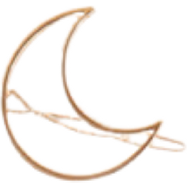 MsBlossom - Wirework Hair Clip - 1pc - Moon