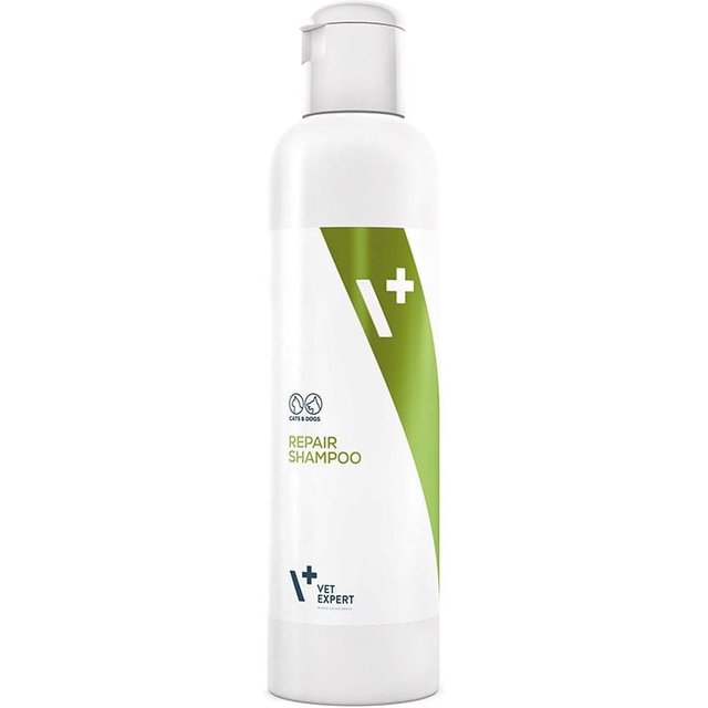 Shampoo Repair 250ml