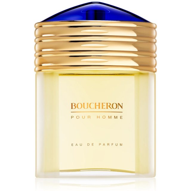 Boucheron Pour Homme 100ml Eau de toilette
