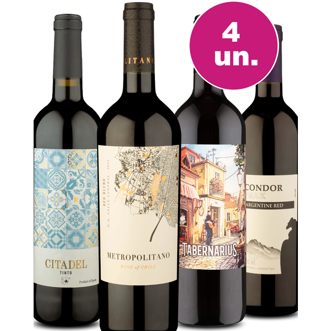 Kit 4 - Degustação de Tintos Mundiais - Oferta Absurda