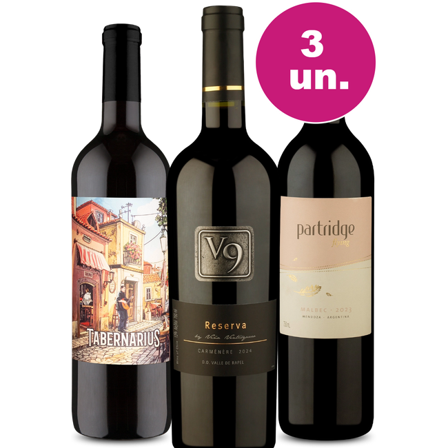 Kit 3 - Tintos Destaque por R$99 - Oferta Insana