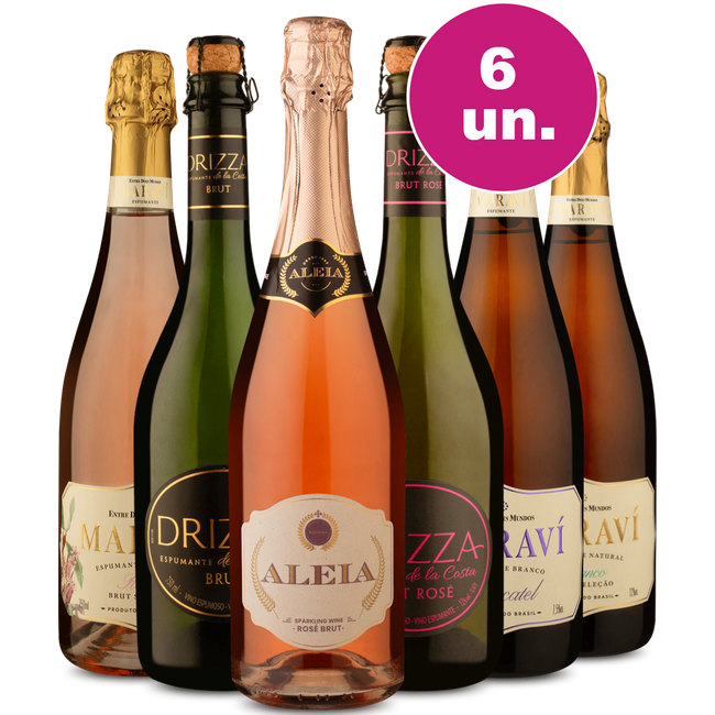 Kit 6 - Degustação de Espumantes por R$39,90 por Garrafa
