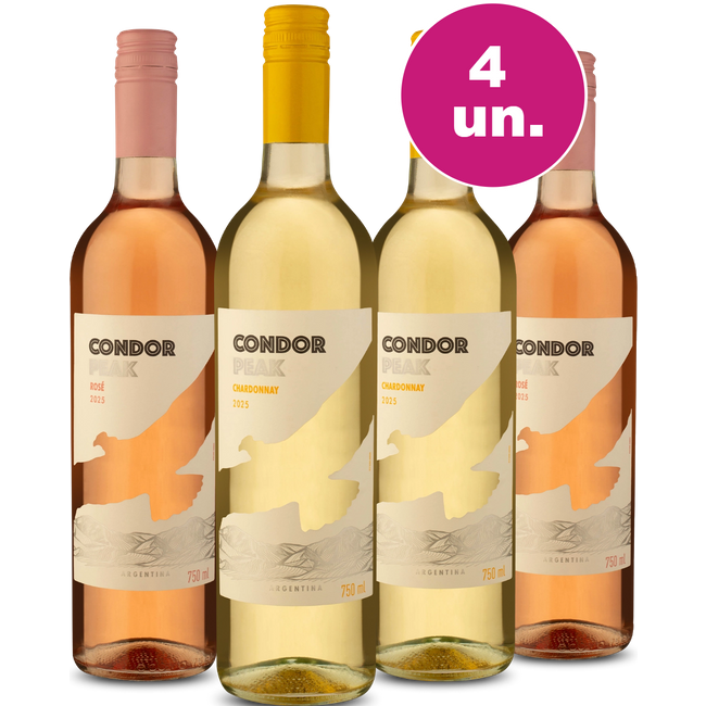 Kit 4 - Degustação Refrescantes - Lançamento Condor Peak