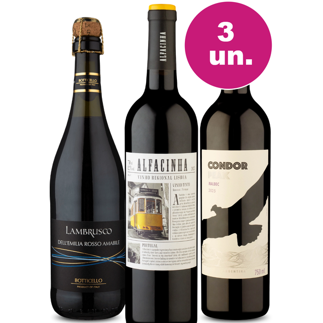 Kit 3 - Grande Oportunidade por R$99
