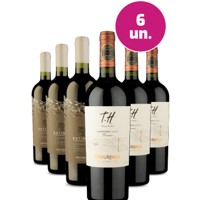 Kit 6 - Carménères do Valle Del Cachapoal