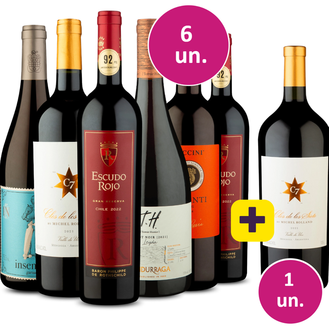 Kit 6 - Volta ao Mundo de 1ª Classe + Clos De Los Siete 1,5l Grátis - Exclusivo We