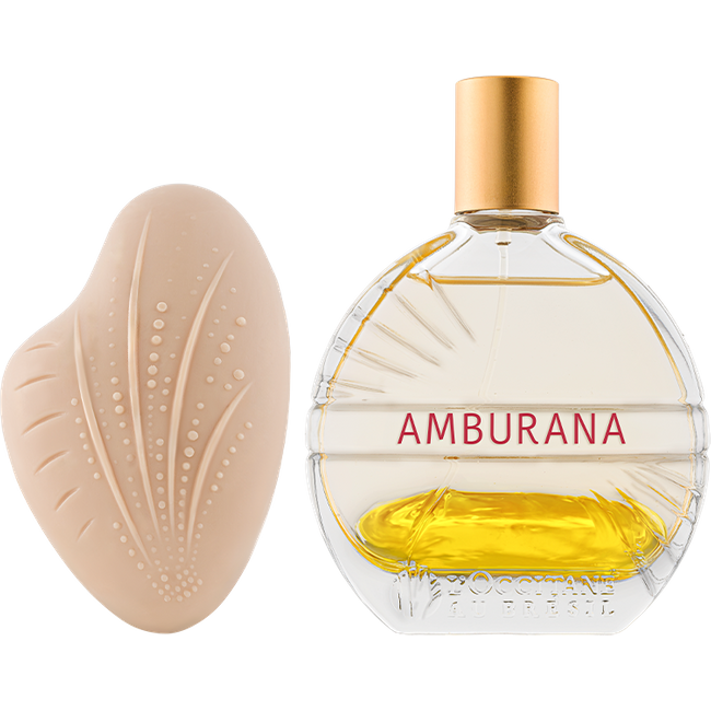 Combo Luz de Amburana: Eau de Parfum e Sabonete Perfumado