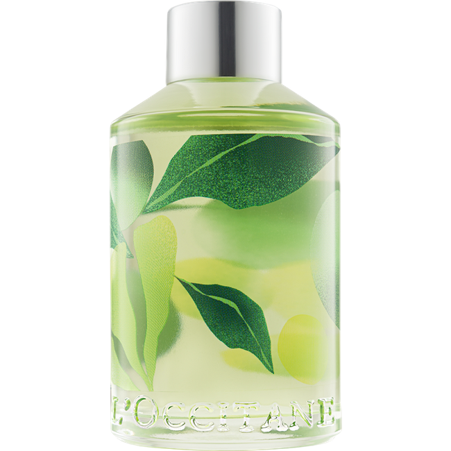 Aromatizador de Ambiente de Frescor Revigorante 200mL