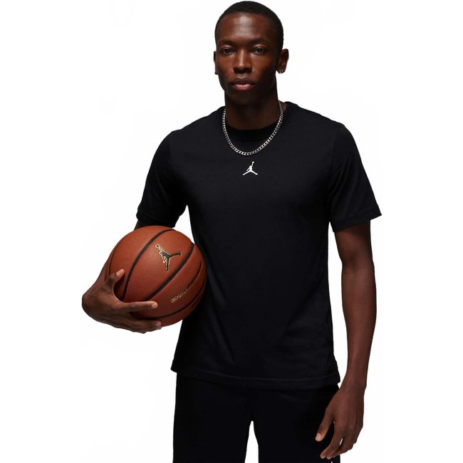 Camiseta Jordan Dri-FIT Sport Masculina
