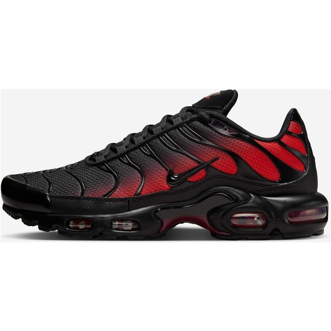 Nike Air Max Plus OG