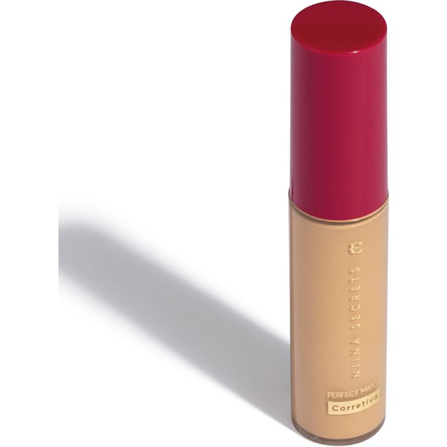 Corretivo Niina Secrets Perfect Match Cor 25 10ml