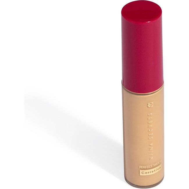Corretivo Niina Secrets Perfect Match Cor 10 10ml