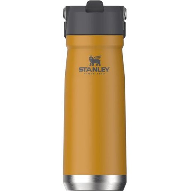 Garrafa Térmica Flip Straw em Inox Saffron 650ml Stanley