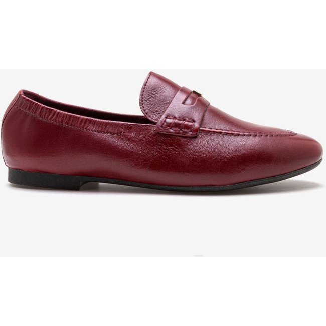 Mocassim Democrata Casual Vinho