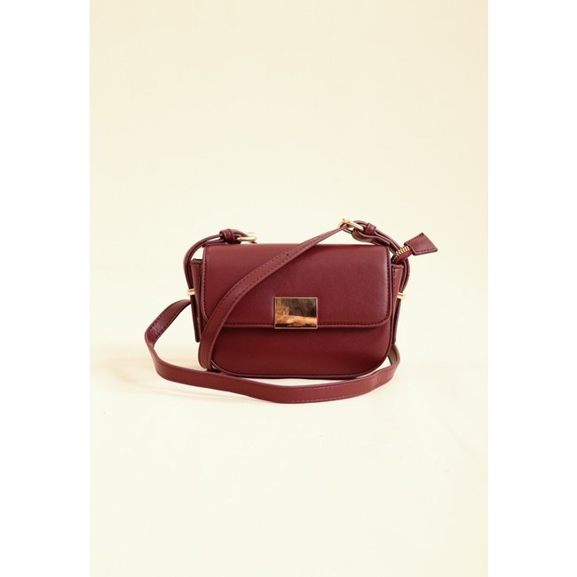 Bolsa Pequena Crossbody Pop Me Fecho Dourado Bordô