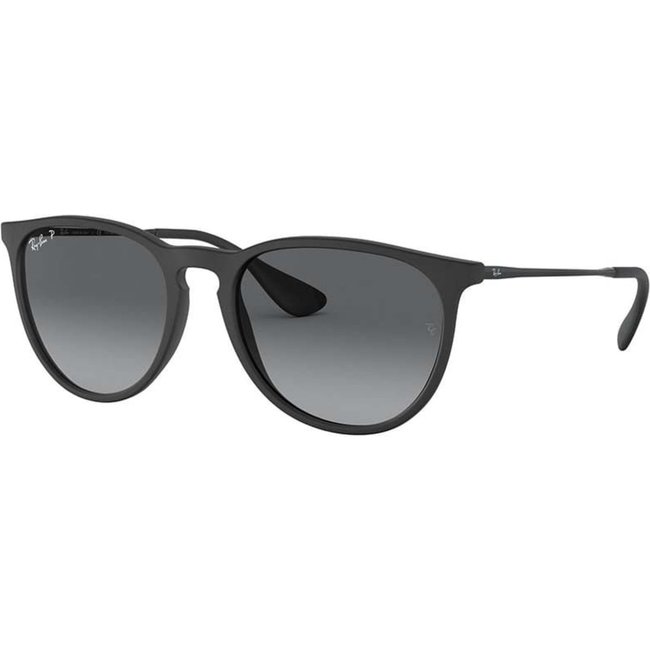 Óculos de Sol 0RB4171 ERIKA - Ray-ban Brasil