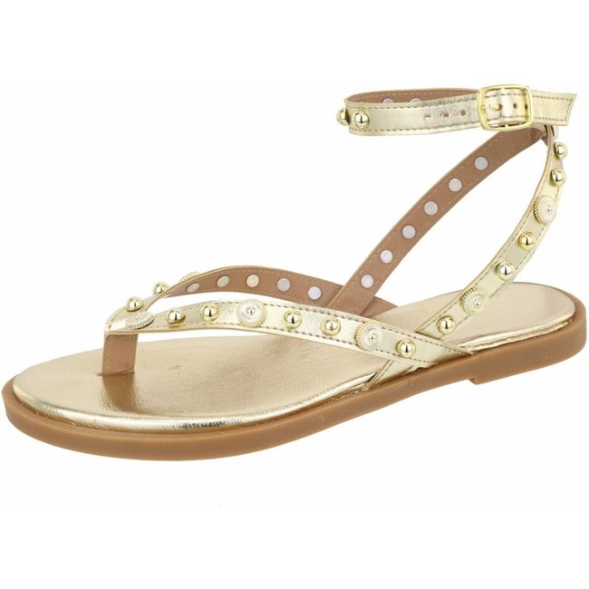 Rasteira Sandália Feminina Bolinhas Estilosa Lançamento Ouro Light Tellini Store