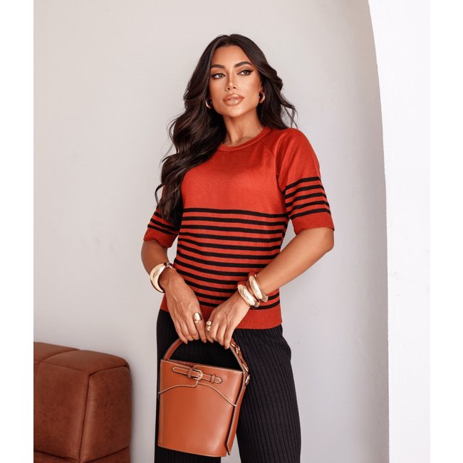 Blusa Cherry Line Tricô Manga Curta Listrada Gola Redonda Ferrugem E Preto