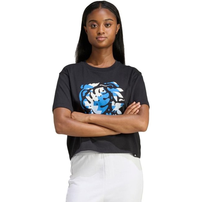 CAMISETA ESTAMPA HOUSE OF TIRO adidas Sportswear Preto