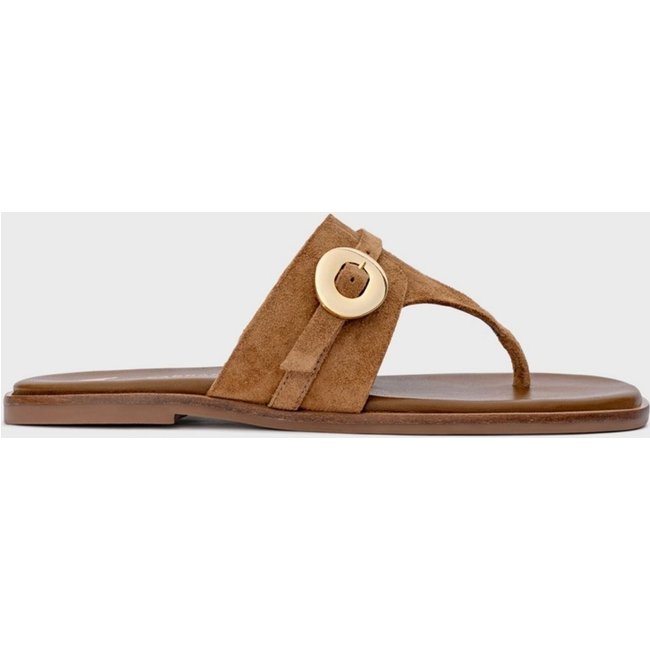 Chinelo Flat Carrano 777039 Marrom