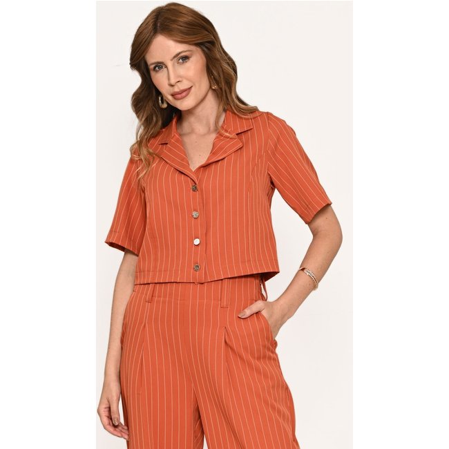 Camisa Bisô Risca de Giz Terra - Terra