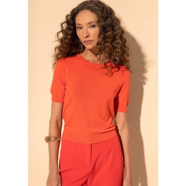 Blusa De Mangas Curtas Com Gola Redonda Em Malha Tricô