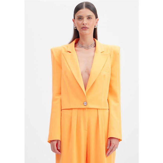 Blazer Alfaiataria Com Maxi Ombreira Lança Perfume