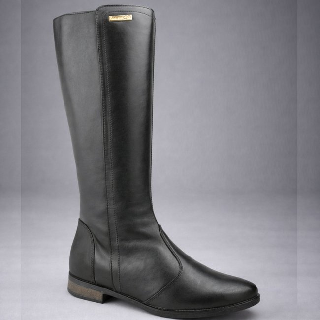 Bota Feminina Miuzzi Cano Longo Salto Baixo Plataforma Detalhe Em Dourado Preta