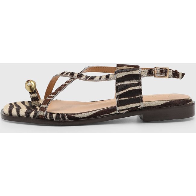 Rasteira Feminina Luiza Barcelos Animal Print Marrom