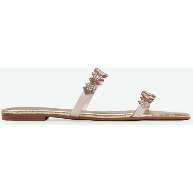 Flat Akila Dourado Suzana Santos