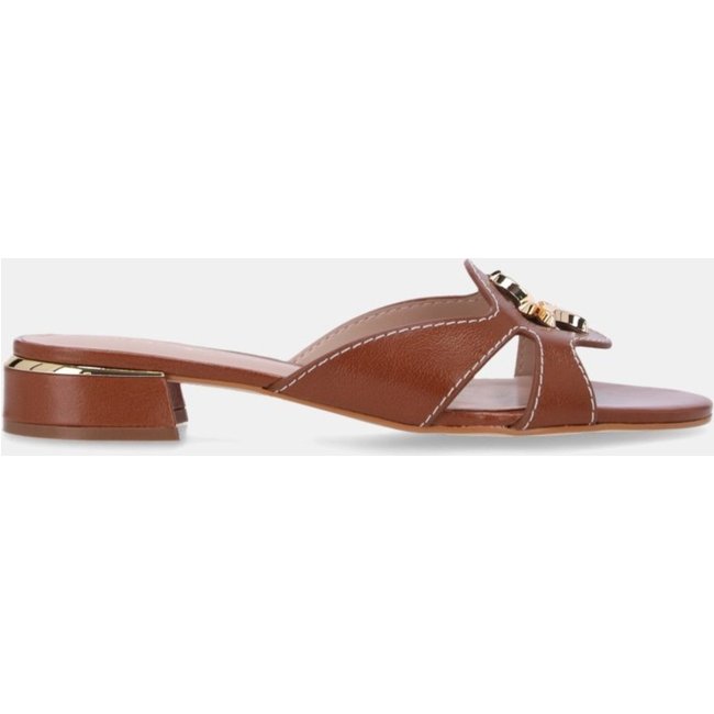 Chinelo Couro Luz da Lua - 80910006 Luz Da Lua Marrom